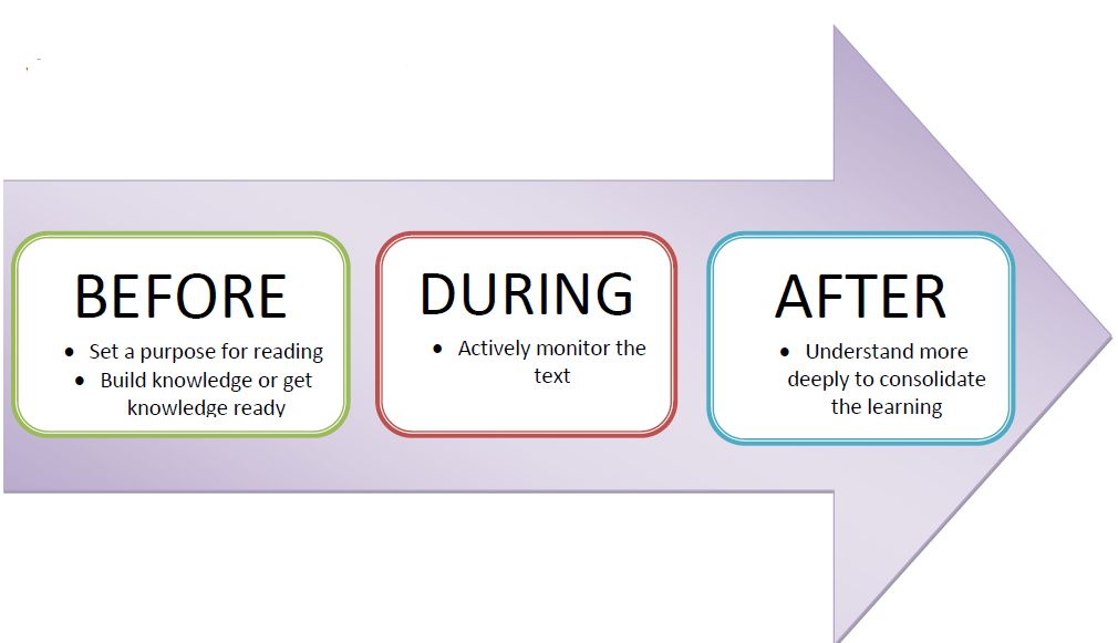 Stages Of Reading Process - vrogue.co